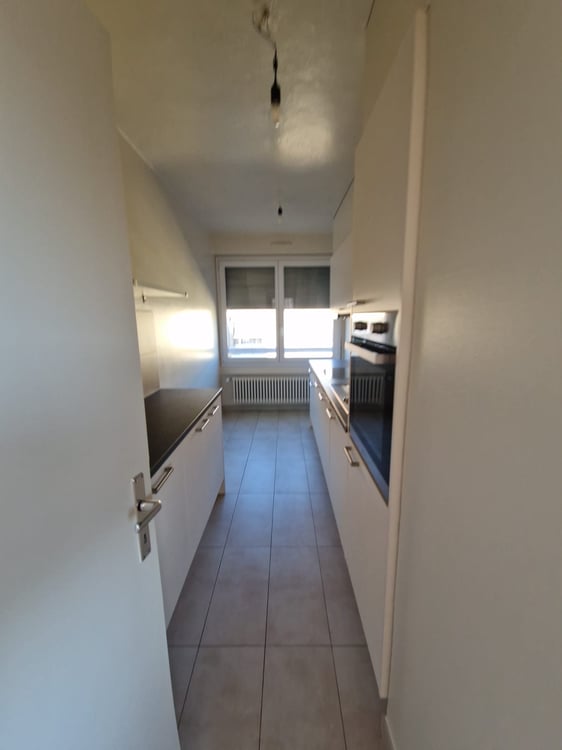 Superbe duplex de 6 Pièces au dernier étage dans le quartier de Plainpalais 4