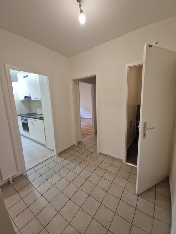 Spacieux appartement de 3 Pièces au coeur du quartier de Plainpalais 4