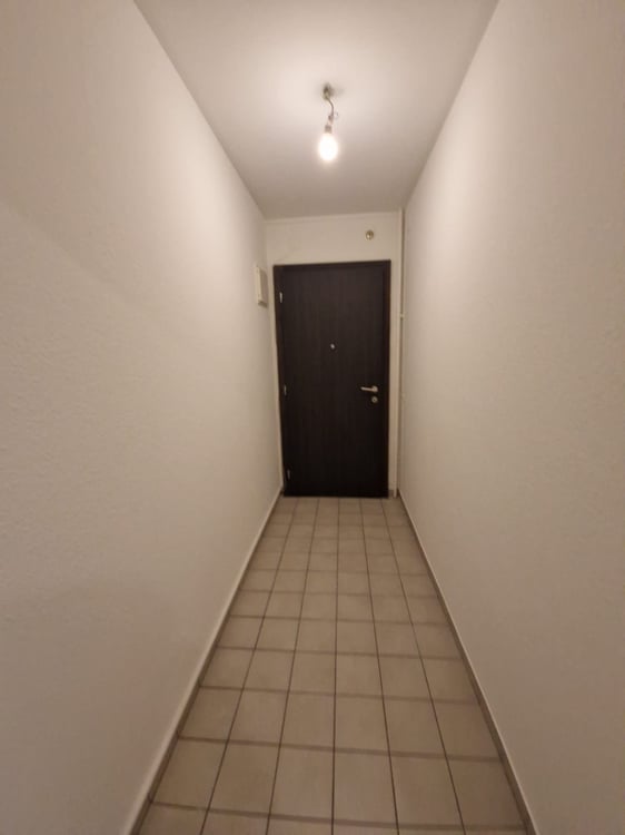 Spacieux appartement de 3 Pièces au coeur du quartier de Plainpalais 3