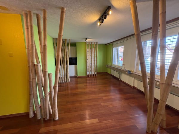 Moderne Praxis- oder Gewerberäumlichkeit in Menziken zu vermieten 2