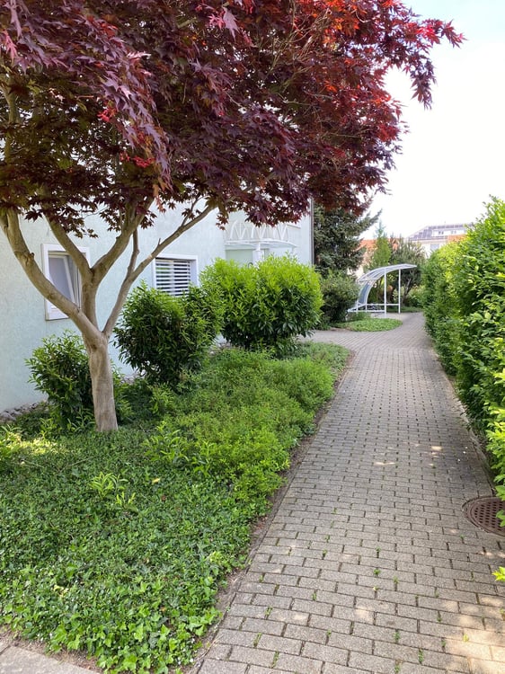 Modern sanierte 1.5-Zimmer-Wohnung im Dorfkern Reinach AG 9