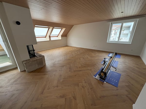 Einzigartige 4.5-Zimmer-Dachwohnung mit Cheminée und schönem Ausblick in Menziken 4
