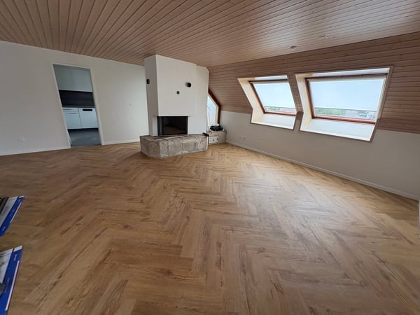Einzigartige 4.5-Zimmer-Dachwohnung mit Cheminée und schönem Ausblick in Menziken 3