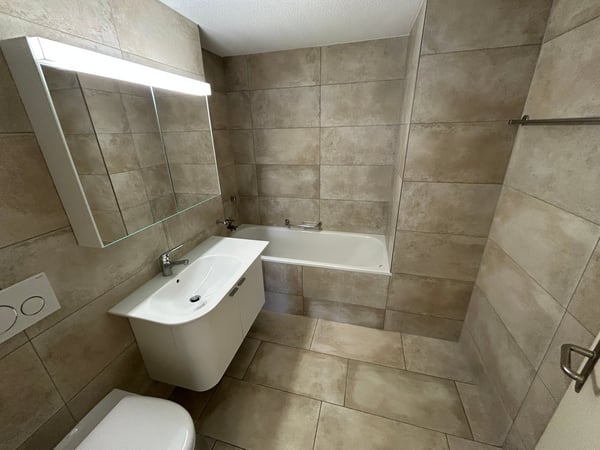 Einzigartige 4.5-Zimmer-Dachwohnung mit Cheminée und schönem Ausblick in Menziken 11