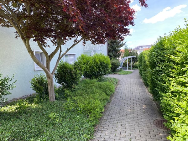 Einzigartige 6.5-Zimmer-Attika-Maisonettewohnung mit Galerie und Traumterrasse bald verfügbar! 16
