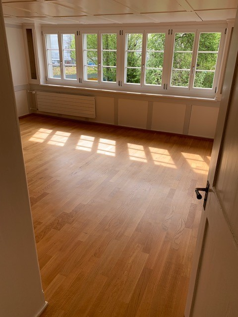 Charmante 3.5 Zimmer-Wohnung in umgebautem Bauernhaus 7