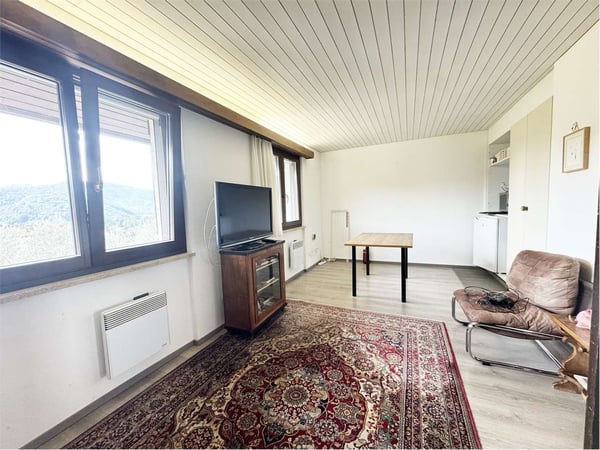 Vendesi Villa Storica a Magliaso immersa nel verde lontana dal traffic 4