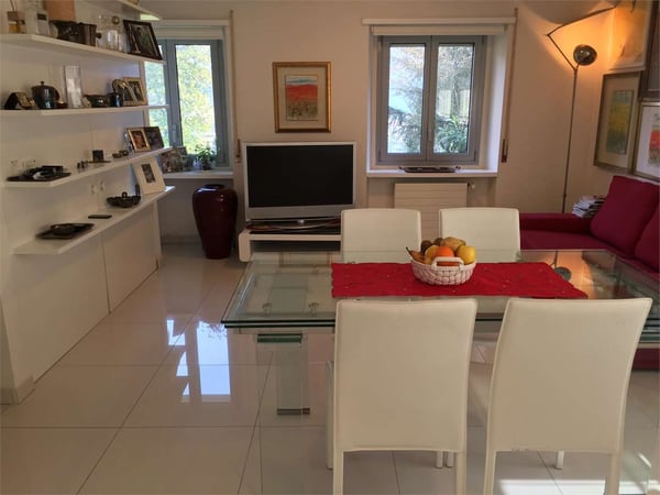 Lugano spazioso 1.5 locali Piano terra 5