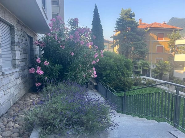 Lugano spazioso 1.5 locali Piano terra 10