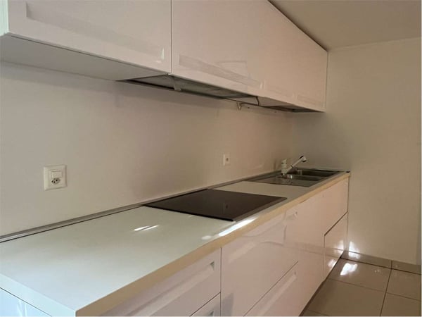 Affittiamo appartamento luminoso di 1.5 a Massagno vicino la FFS 3