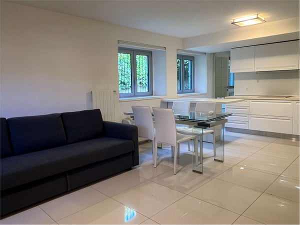 Affittiamo appartamento luminoso di 1.5 a Massagno vicino la FFS 2