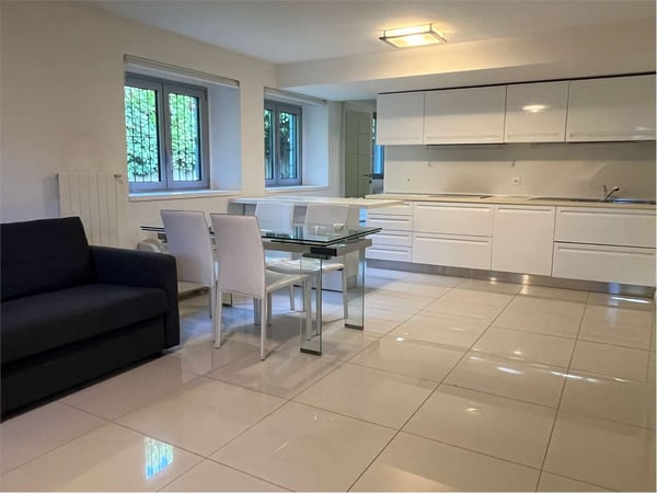 Affittiamo appartamento luminoso di 1.5 a Massagno vicino la FFS 6