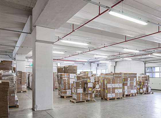 Affittasi spazio logistico /magazzino di ampia metratura a Cadenazzo 2