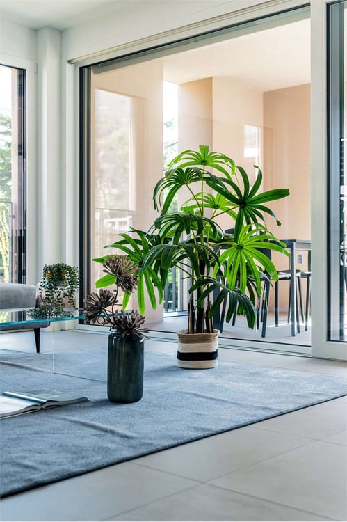 Nuovo Appartamento 1.5 Locali con Giardino 6