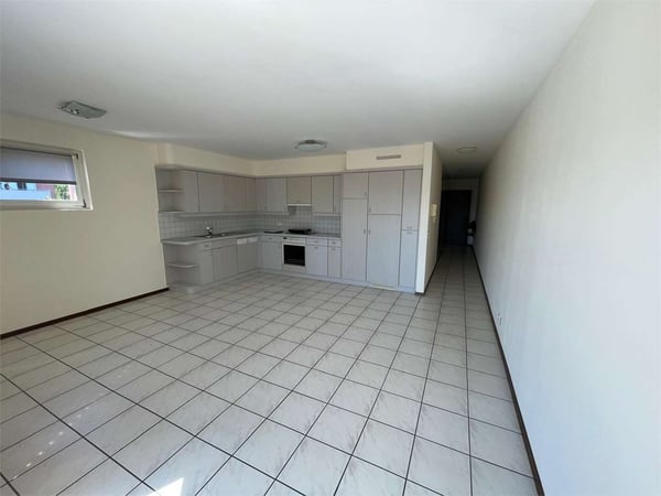 Affittasi Appartamenti 1.5 locali ad Agno 2