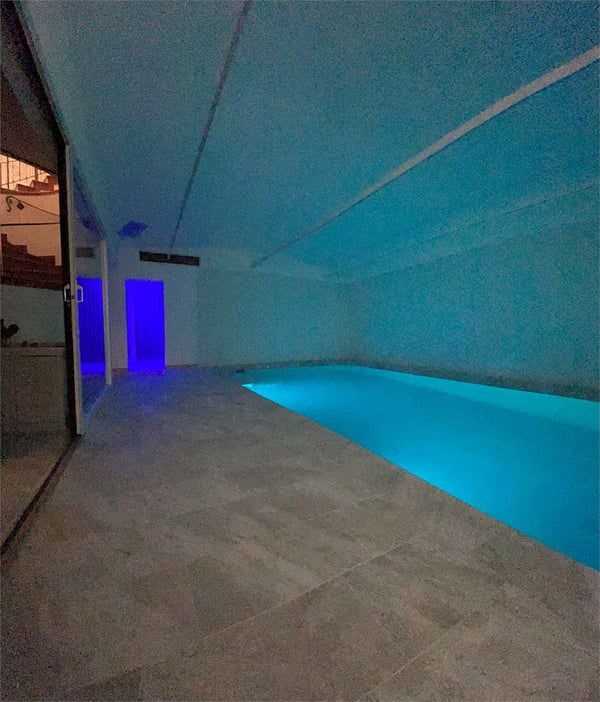 Esclusiva Villa con Area Wellness e Vista Aperta nel Verde di Vezia 4