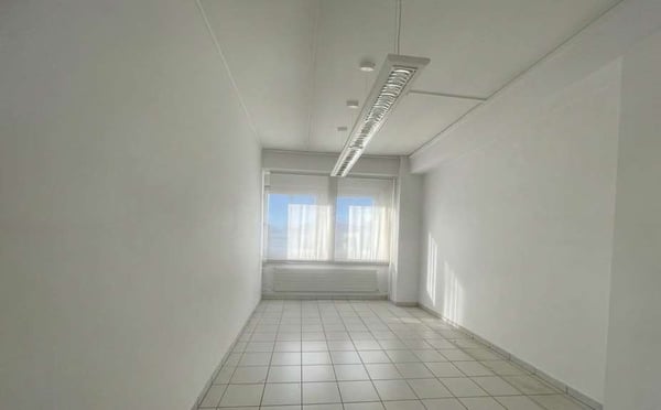 Affittasi spazio ufficio 4 locali - Manno 2