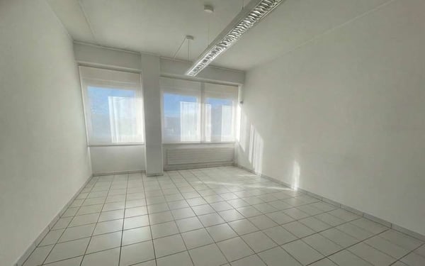 Affittasi spazio ufficio 4 locali - Manno 1