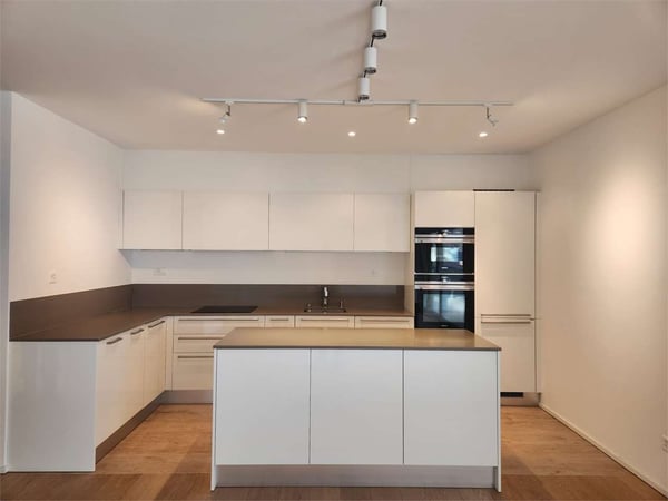Elegante 3.5 locali moderno con ampio terrazzo e doppi posteggi 4