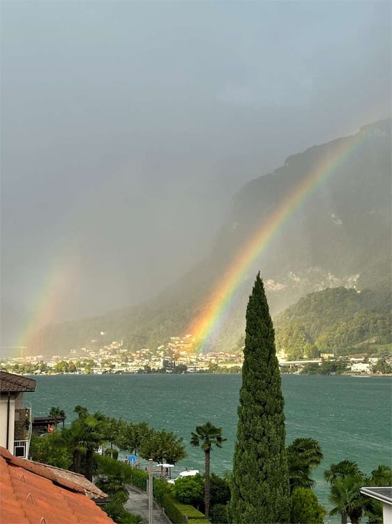 RIVA SAN VITALE - DUE APPARTAMENTI DIRETTAMENTE A LAGO 3