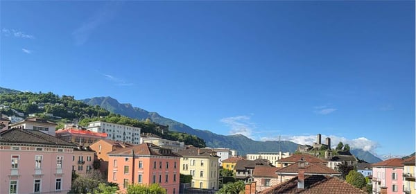2,5 completamente ristrutturato a Bellinzona 4