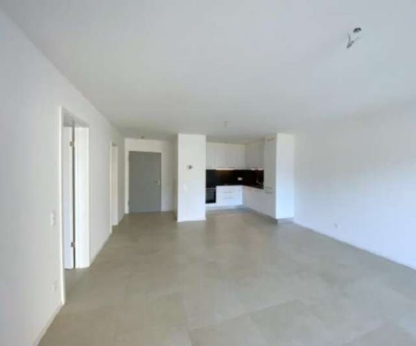 Nuovo e luminoso appartamento 3.5 locali con grande terrazzo in affitt 2