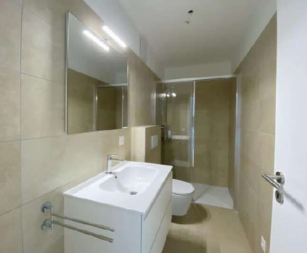 Nuovo e luminoso appartamento 3.5 locali con grande terrazzo in affitt 5