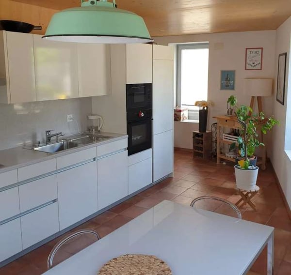 Affascinante casa Loft in affitto a Barbengo - 112 m², giardino e post 3
