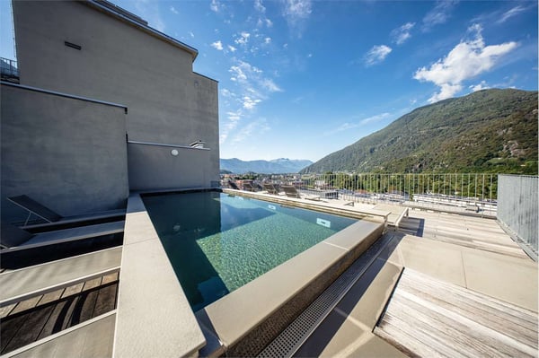 3.5 locali moderno con piscina e vista Alpi - Arbedo 1