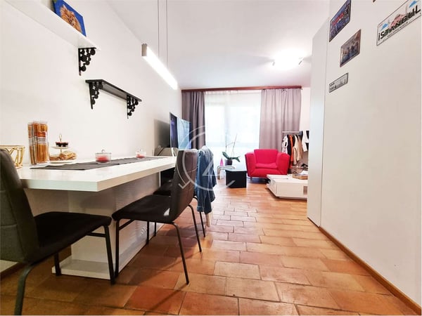 Appartamento Lugano 2.5 locali 1