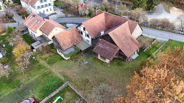 Charmantes Bauernhaus mit Garage und grossem Garten in Mühledorf SO 4