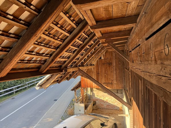 Charmantes Bauernhaus mit Garage und grossem Garten in Mühledorf SO 18