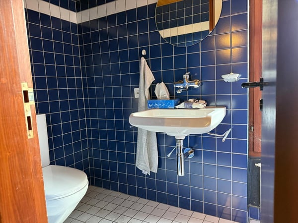 Charmantes Bauernhaus mit Garage und grossem Garten in Mühledorf SO 29