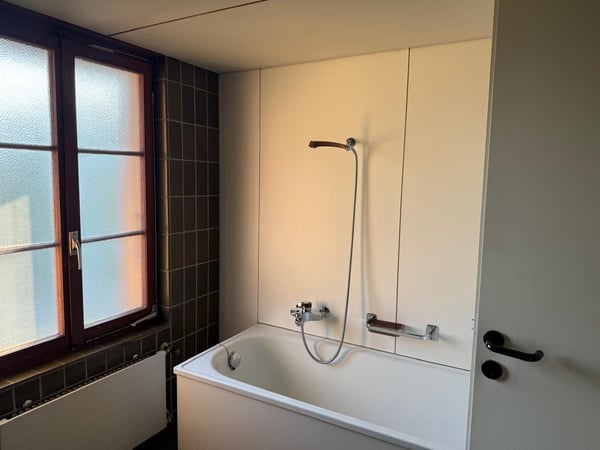 Charmantes Bauernhaus mit Garage und grossem Garten in Mühledorf SO 17