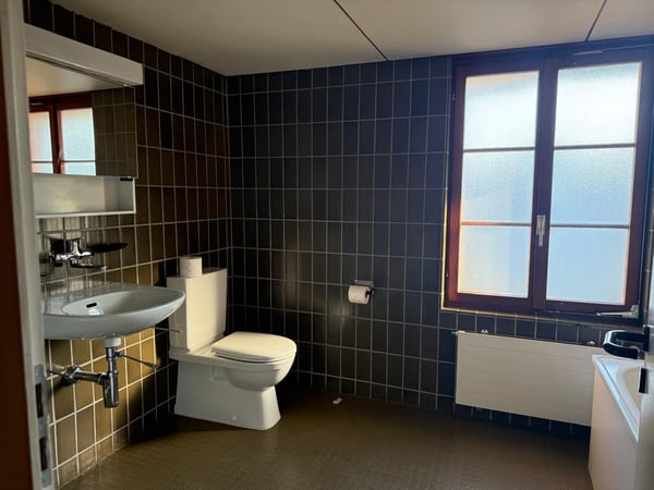 Charmantes Bauernhaus mit Garage und grossem Garten in Mühledorf SO 19