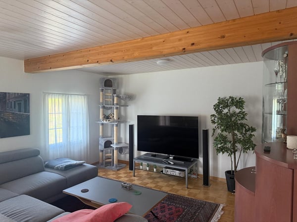 Charmantes Einfamilienhaus mit Garten in ruhiger Lage von Aeschi 10