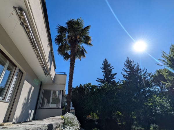 Charmantes Einfamilienhaus in Biel mit grossem Garten, Sauna und Whirlpool 2