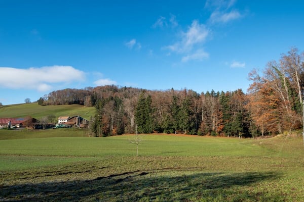 Les Maisons de Forel - Villa B 15