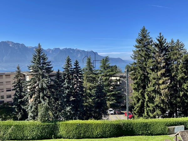 Lumineux 1.5 pièces entièrement rénové 7