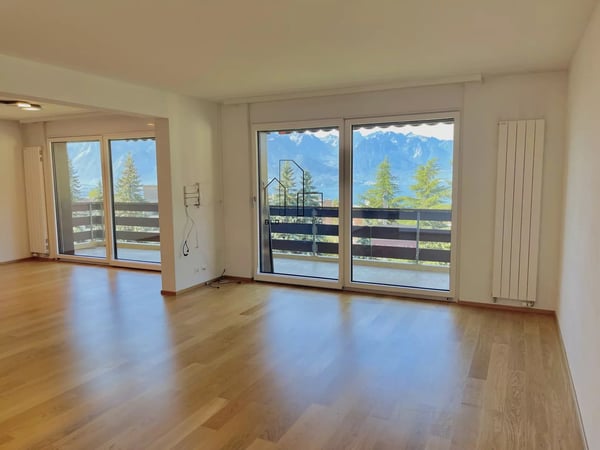 Lumineux 1.5 pièces entièrement rénové 4