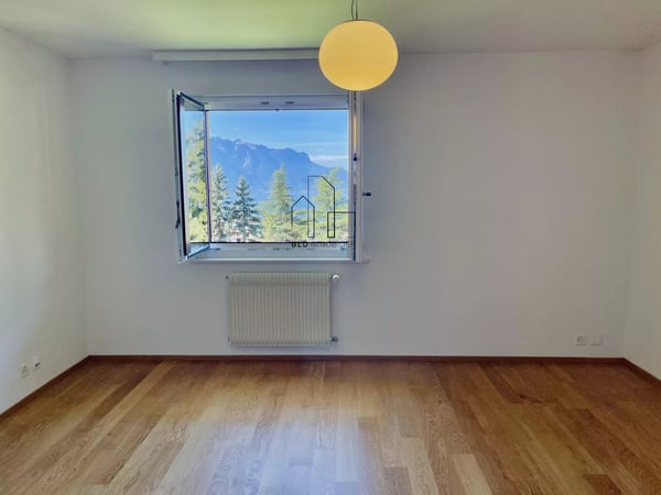 Lumineux 1.5 pièces entièrement rénové 12