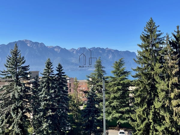 Lumineux 1.5 pièces entièrement rénové 13