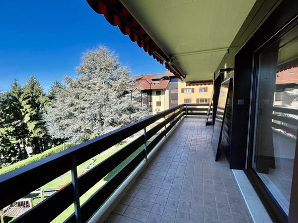 Lumineux 1.5 pièces entièrement rénové 5