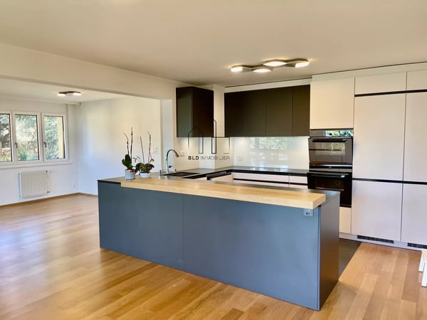 Lumineux 1.5 pièces entièrement rénové 1