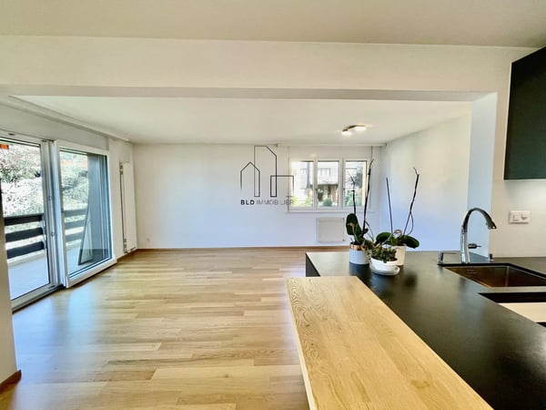 Lumineux 1.5 pièces entièrement rénové 3