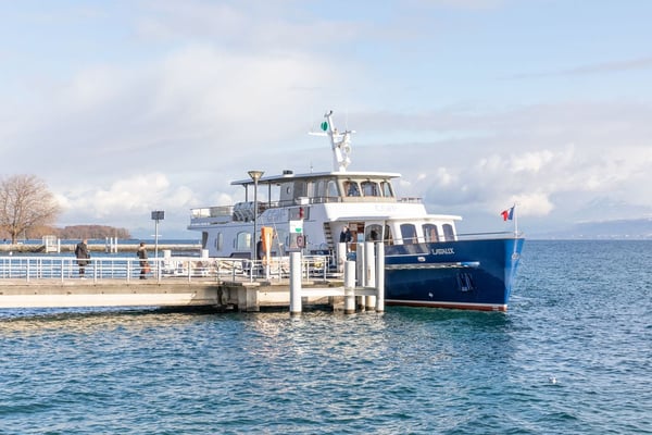 Une adresse exceptionnelle au coeur de Nyon, à deux pas du lac. Townhouse haut de gamme sur plan. 17