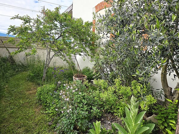 Cheyres : charmante maison dans l'ancienne gare avec un très joli jardin 13