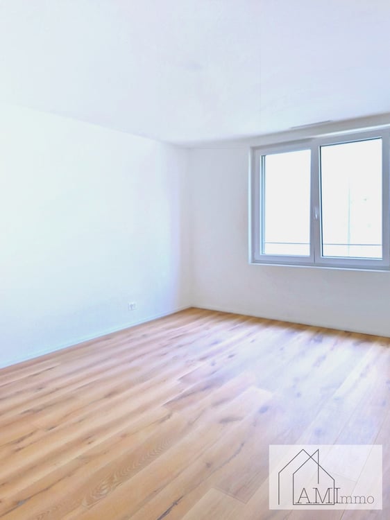 Beaux 1.5 pièces, neufs, calmes et très lumineux 9