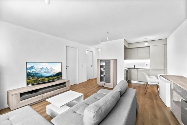 2.5 pièces moderne dans une PPE récente 1
