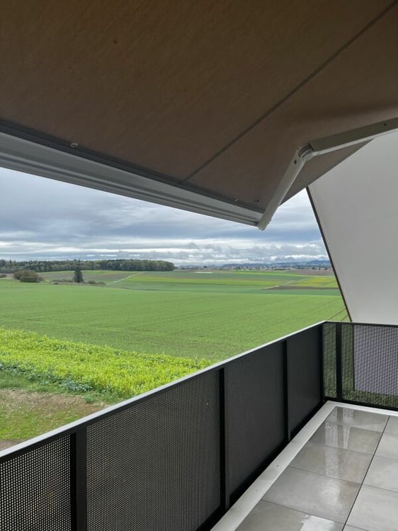 3.5 pièces dans les combles avec balcon et vue dégagée 5
